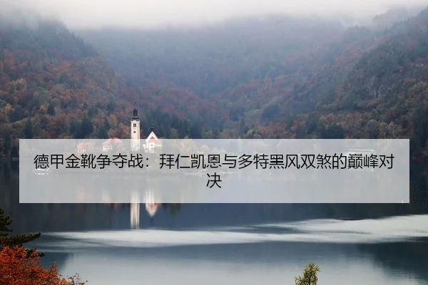 德甲金靴争夺战：拜仁凯恩与多特黑风双煞的巅峰对决