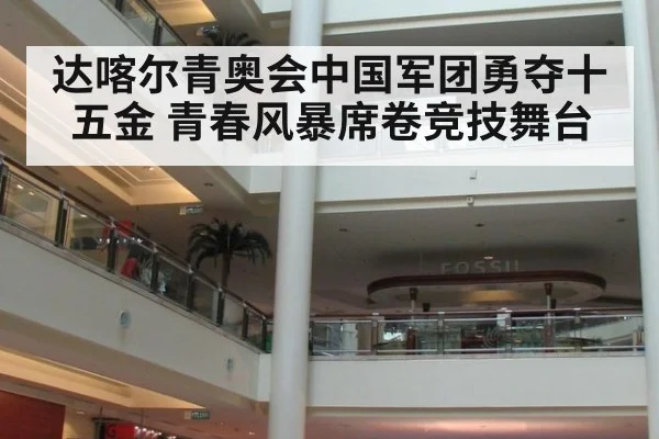 达喀尔青奥会中国军团勇夺十五金 青春风暴席卷竞技舞台